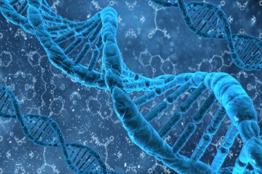 3D dna yapısı