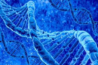 DNA molekülleri