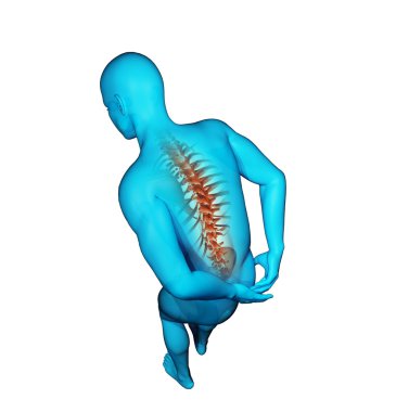 Anatomik vizyon geri ağrı