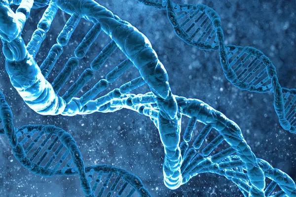 Das dna-Molekül — Stockfoto