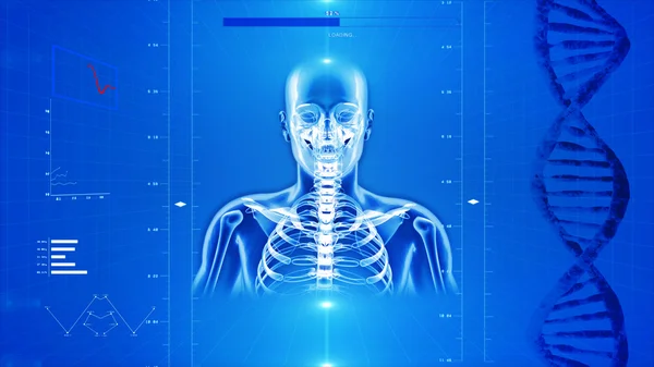 Human skeleton on high tech background — Stock Photo, Image