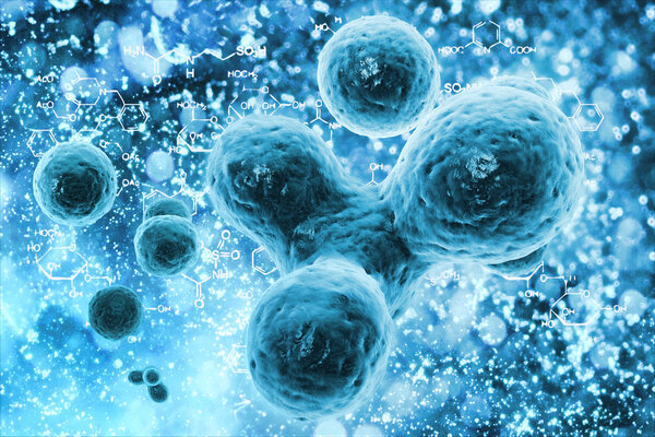 Бактерии или клетки под микроскопом
