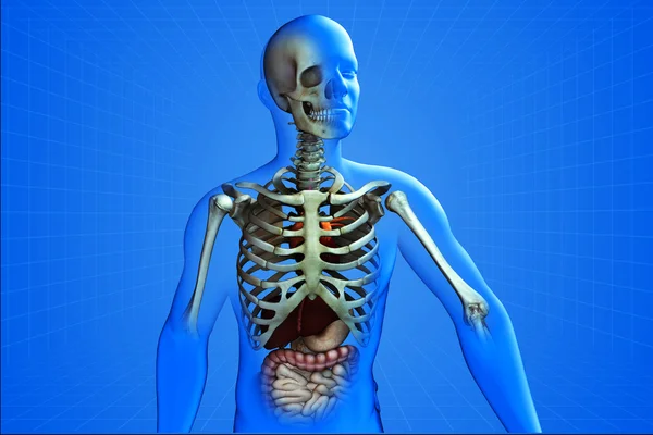 Röntgenbild av mänskliga — Stockfoto