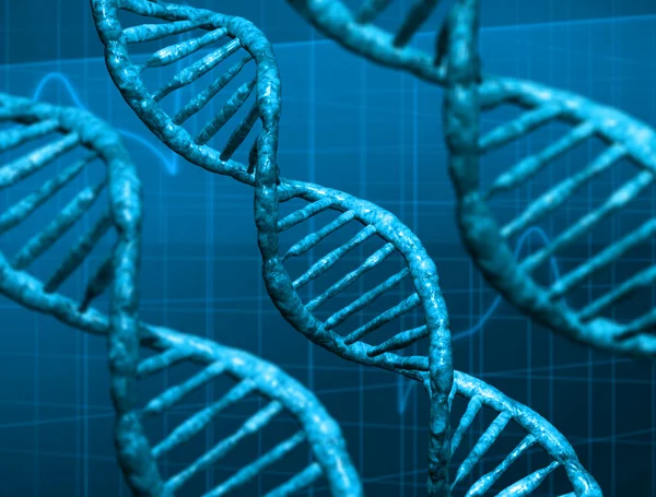 Estructura de ADN 3d — Foto de Stock