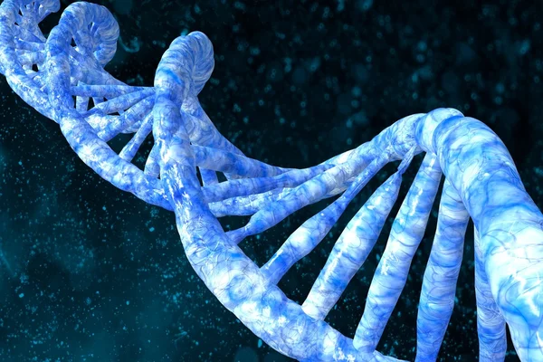 人类的 dna 分子 — 图库照片