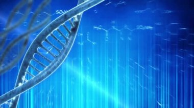 insan DNA'sının animasyon
