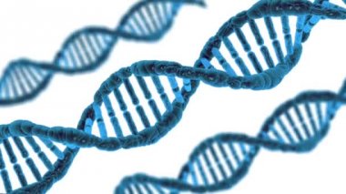 DNA molekülünün döndürme