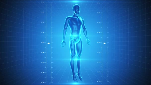 Рентген скелета и мышц человека — стоковое видео