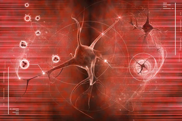 Цифровая иллюстрация нейрона на цветном фоне — стоковое фото