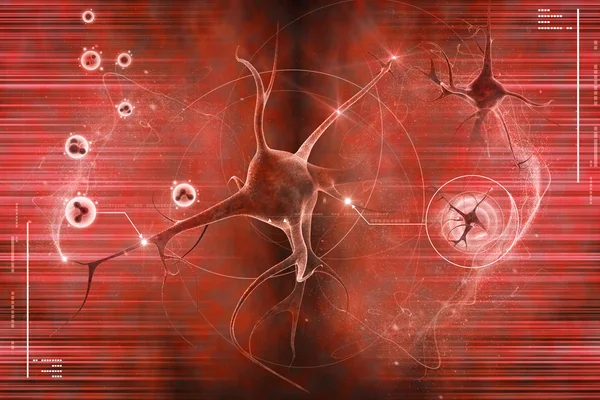 Digital illustration of a neuron in colour background — Stock Photo, Image