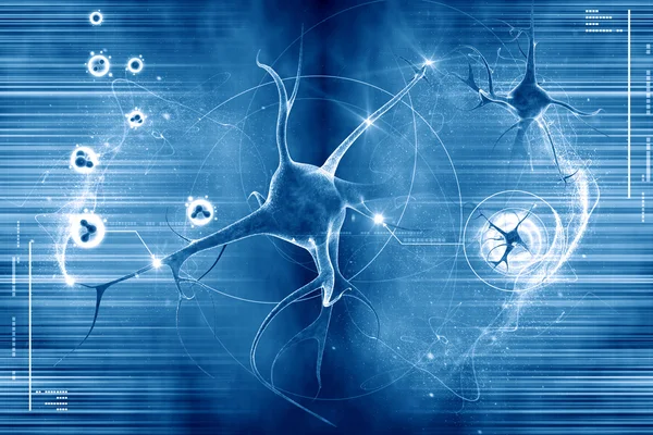 Neuron in colour background — Stock Photo, Image