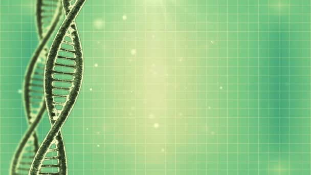 Antecedentes com molécula de DNA e particularidades — Vídeo de Stock
