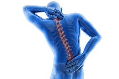 Anatomik vizyon geri ağrı