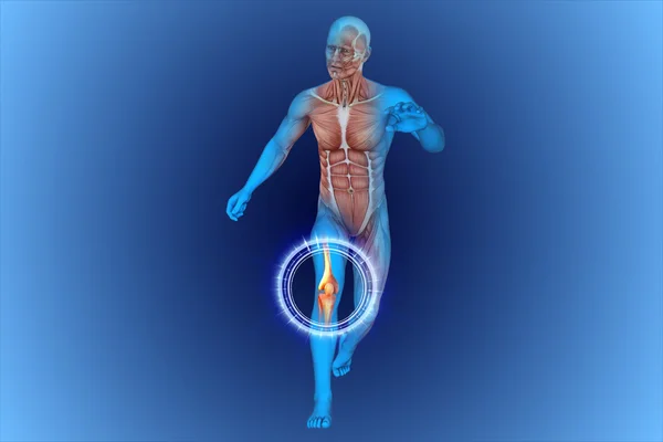 Jalankan anatomi x-ray pria — Stok Foto