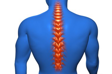 Anatomik vizyon geri ağrı