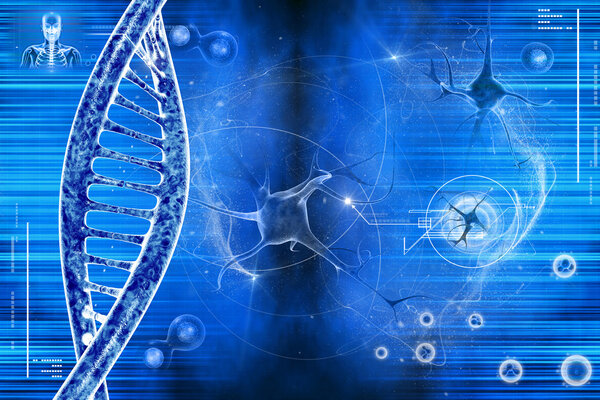 DNA and neuron