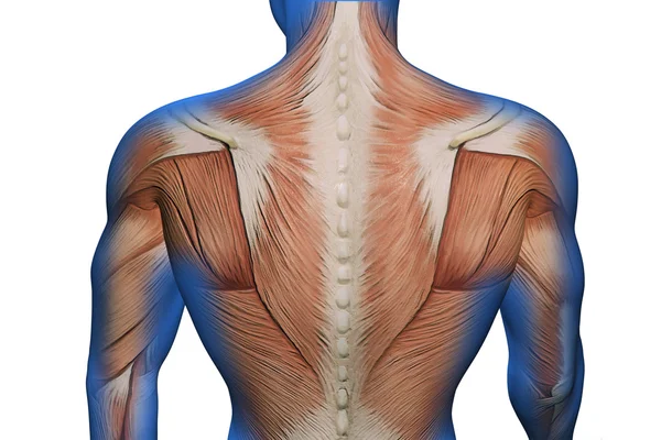 Visão dor nas costas — Fotografia de Stock