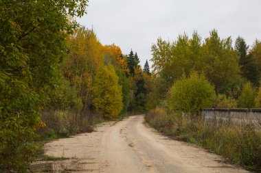 Yol boyunca sonbahar ağaçlar