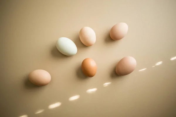 Tarafsız Arkaplanda Taze Tavuk Yumurtası