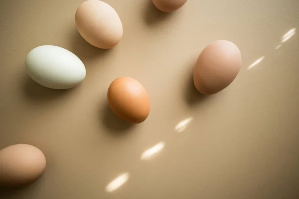 Tarafsız Arkaplanda Taze Tavuk Yumurtası