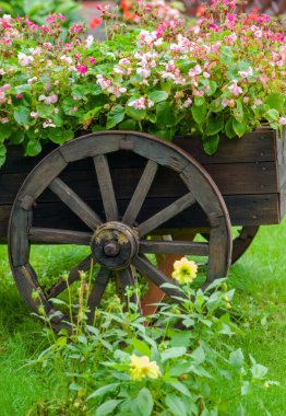 eski bir kamyona çiçekli.