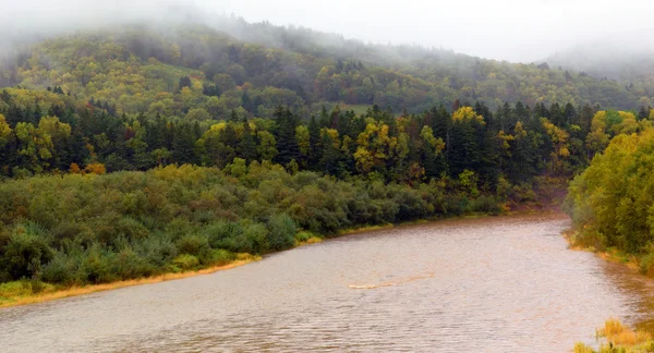 L'avvicinarsi dell'autunno . — Foto Stock