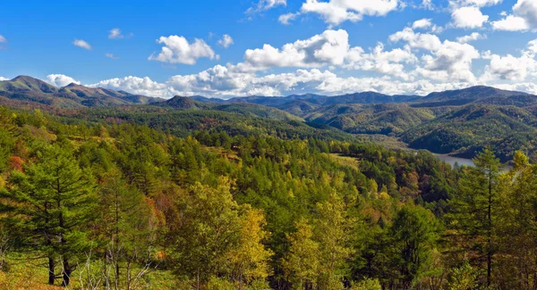 Lesní jezero. — Stock fotografie