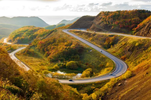 Höstlandskap. — Stockfoto