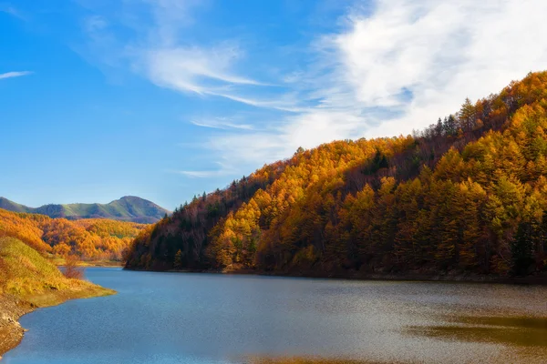 Herbstliche Landschaft. — Stockfoto