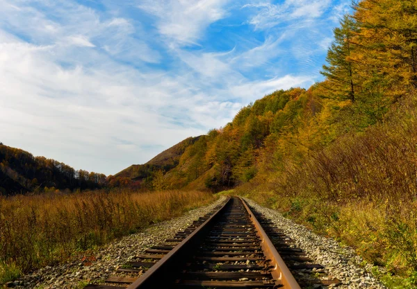 Paesaggio d'autunno. — Foto Stock