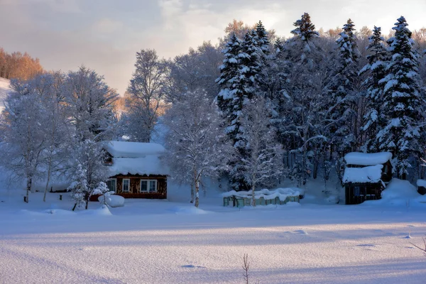 Cabana nas florestas de inverno . Imagens Royalty-Free