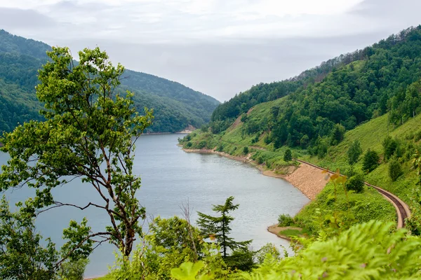 Lago da floresta . — Fotografia de Stock