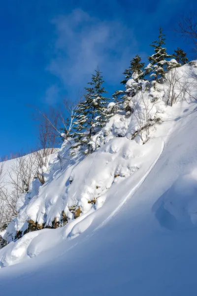 Montagne invernali . — Foto Stock