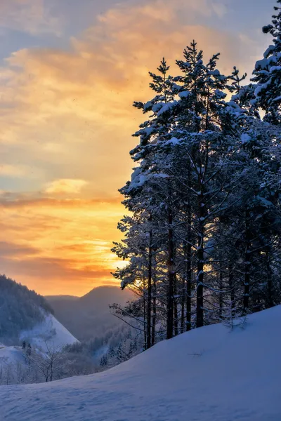 Mañana de invierno . — Foto de Stock