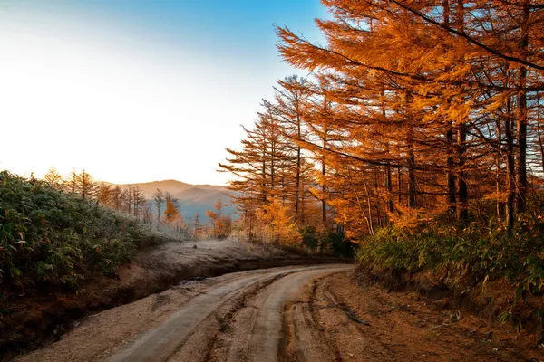 Golden Autumn Sakhalin. — Stock Photo, Image