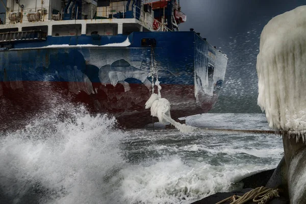Skipet Xing Yuan Som Ligger Ved Havnen Sierra Leone Gikk – stockfoto