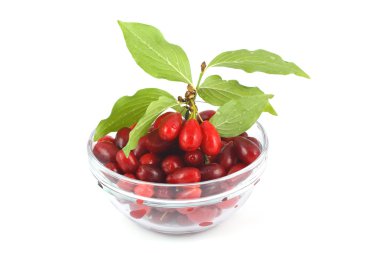 Kızılcık meyveleri bir cam kase