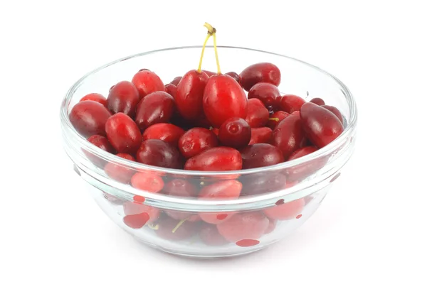 Dogwood berries in a glass bowl — Stock Photo, Image