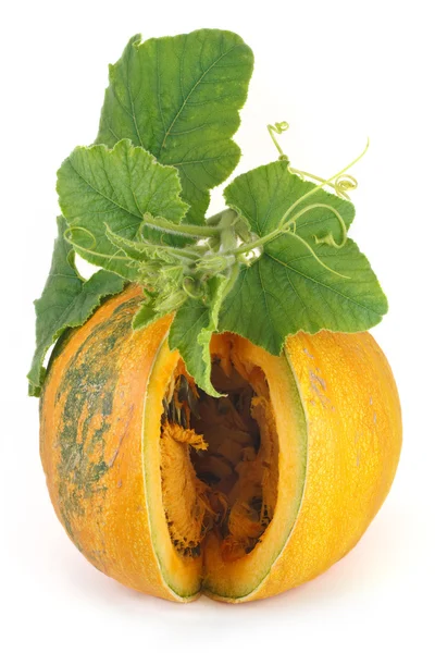 Cut pumpkin with green leaves isolated on white — Stock Photo, Image