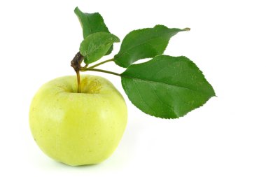 Yeşil Elma beyaz arkaplanda izole edildi