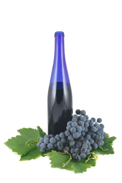 Garrafa azul de vinho e uvas maduras — Fotografia de Stock