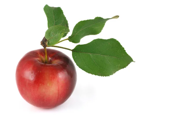 Rosy red apple with green leaves — Stock Photo, Image