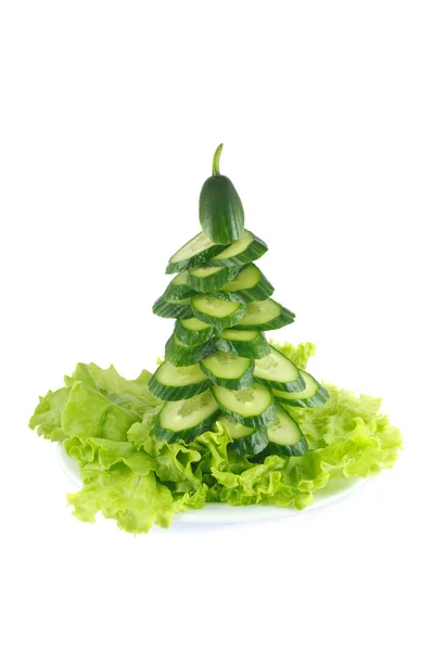 Decoratieve boom van komkommer — Stockfoto