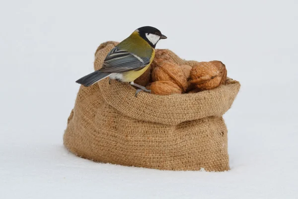 Tit and a bag of walnuts — Stock Photo, Image