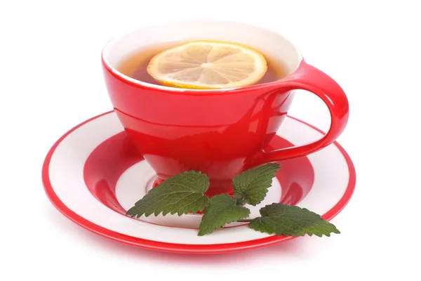 Thee met citroen en mint in een rode kop en schotel geïsoleerd — Stockfoto