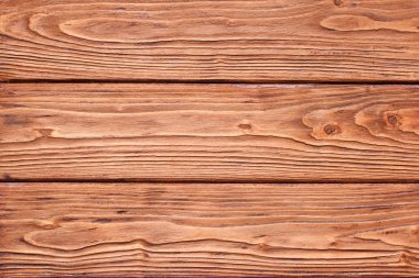 Meşe kurulları ile güzel bir kabartma doku. yatay olarak