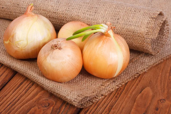 Ripe onion on the oak table on sacking — Stock Photo, Image