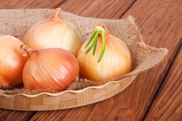 Onion with sprouts on a napkin with burlap on a wooden plate — Stock Photo, Image