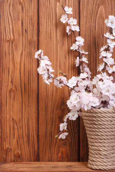 Delicadas flores de albaricoque rosa en un jarrón — Foto de Stock