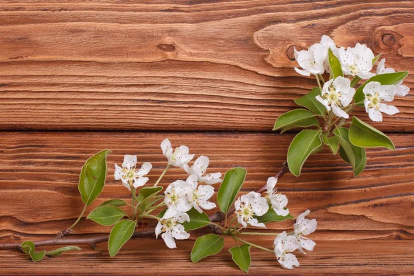 El marco de flores de las ramas de una pera en un tablero de madera marrón —  Fotos de Stock